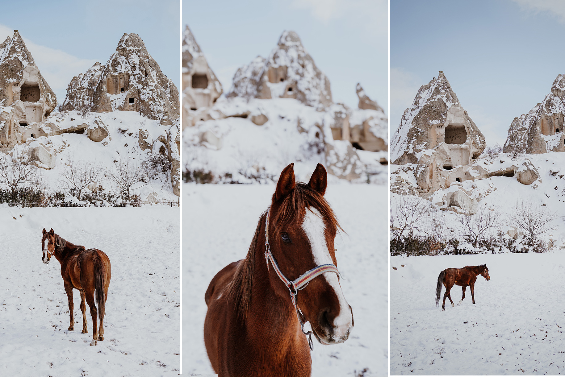 Cappadocia Photographer