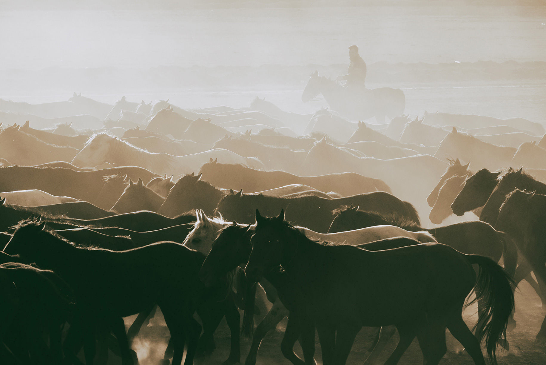 Cappadocia Photographer